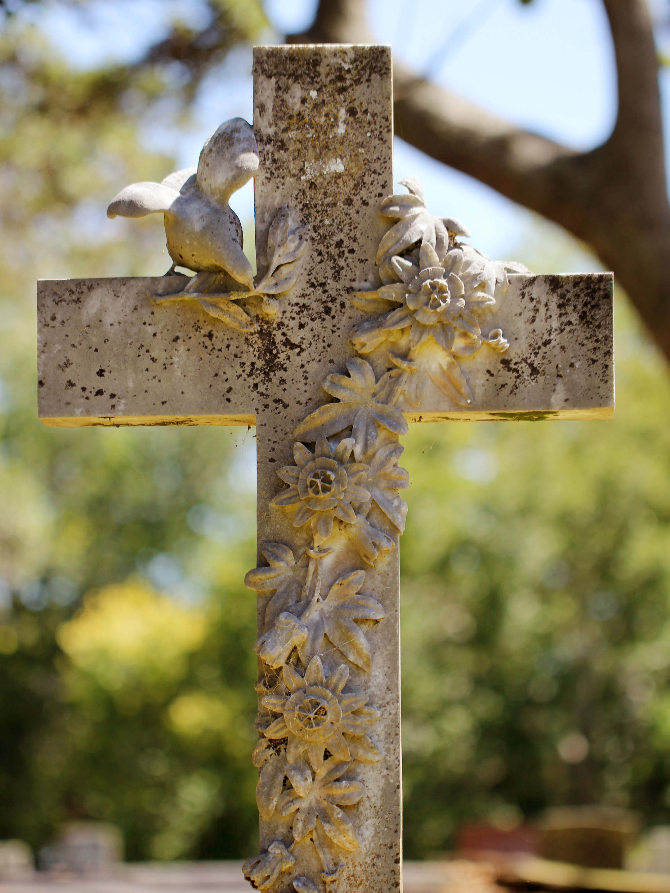 img could not be loaded!